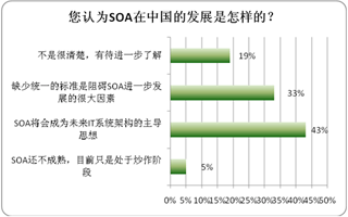 您认为SOA在中国的发展是怎样的？